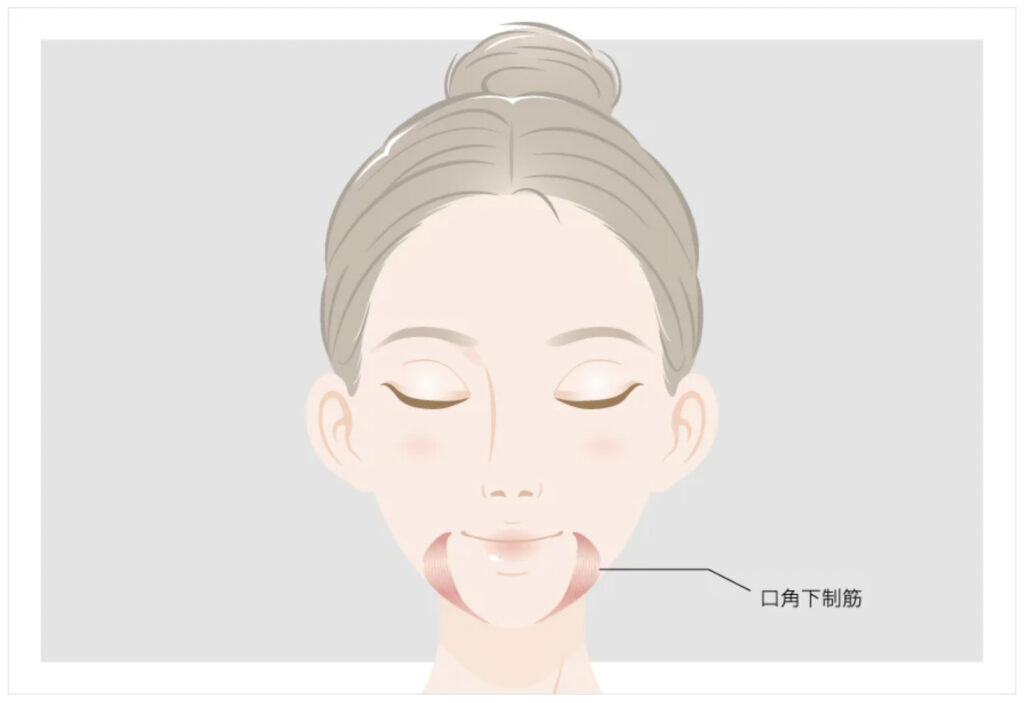 TCB東京中央美容外科の口角圧筋のイメージ画像